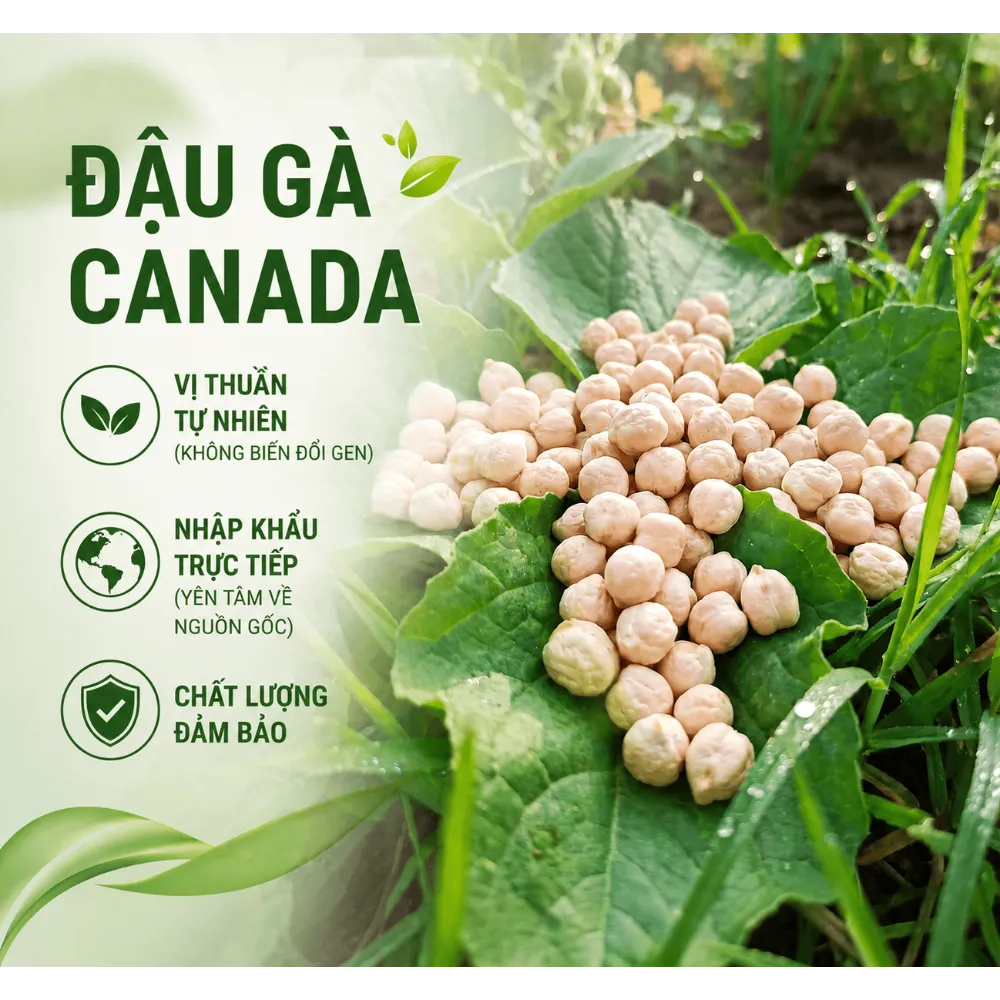 Bột Đậu Gà Rang 2
